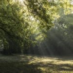 "At the James River Visitor Center, Milepost 63.7" by Maria Jaeger Photography