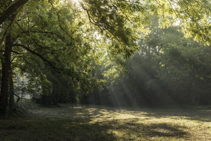 "At the James River Visitor Center, Milepost 63.7" by Maria Jaeger Photography