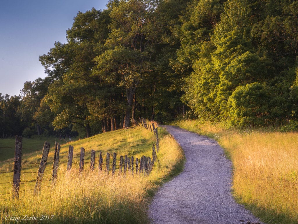 "Moses Cone Carriage Trail, Milepost 294.1" by Craig Zerbe