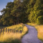 "Moses Cone Carriage Trail, Milepost 294.1" by Craig Zerbe