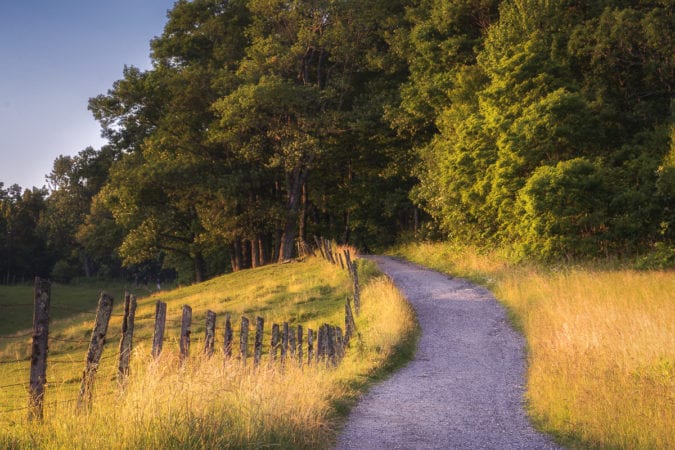 "Moses Cone Carriage Trail, Milepost 294.1" by Craig Zerbe