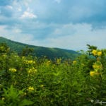 "Pisgah Inn, Milepost 408 near Asheville, NC" by Deborah Visbeck