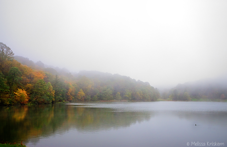 "Fog over Abbott Lake, Milepost 86" by Melissa Kniskern