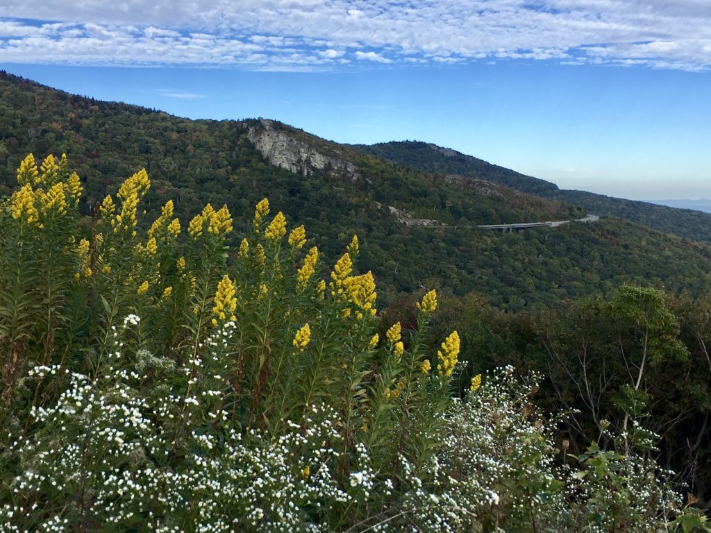 "View from Yohnalossee Overlook, Milepost 303.9" by Christine Tanhueco
