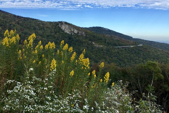 "View from Yohnalossee Overlook, Milepost 303.9" by Christine Tanhueco