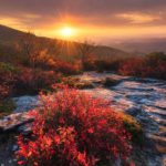 "Sunrise at Rough Ridge Trail, Milepost 302.8" by David Nguyen
