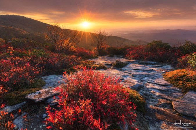 "Sunrise at Rough Ridge Trail, Milepost 302.8" by David Nguyen