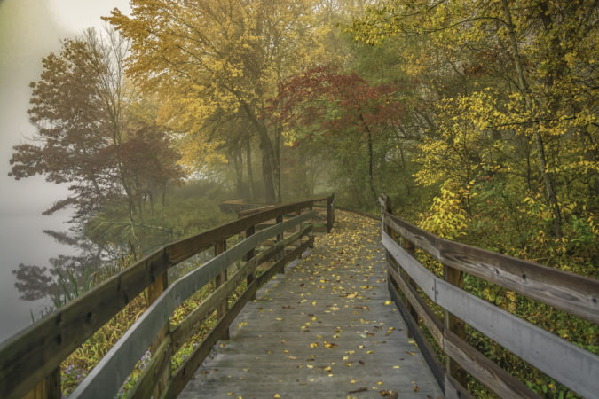 "Autumn at Peaks of Otter, Milepost 86" by Maria Jaeger Photography
