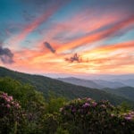 "Catawba Rhododendron at Craggy Gardens, Milepost 364.6" by L A Patterson Photography