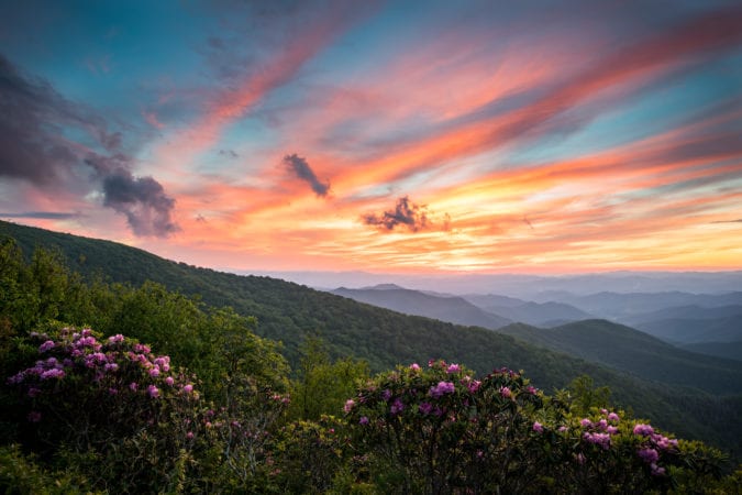 "Catawba Rhododendron at Craggy Gardens, Milepost 364.6" by L A Patterson Photography