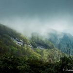 "Misty Mountainside at Craggy Gardens, Milepost 364.6" by Deborah Visbeck.