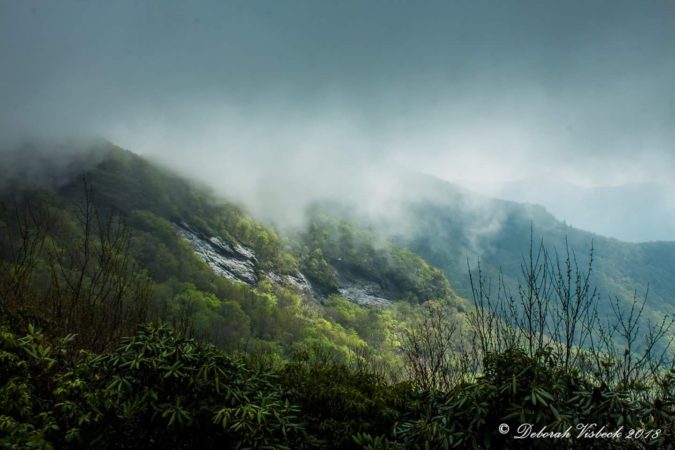 "Misty Mountainside at Craggy Gardens, Milepost 364.6" by Deborah Visbeck.