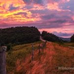 "Across from Thunder Hill Overlook, Milepost 290.4" by Lisa Gregory
