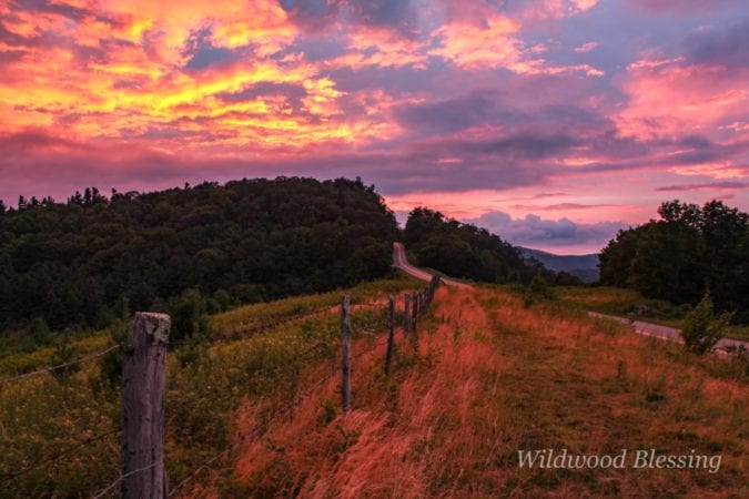 "Across from Thunder Hill Overlook, Milepost 290.4" by Lisa Gregory