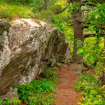 "Greenstone Overlook Trail, Milepost 8.8" by P. Donald Serpas