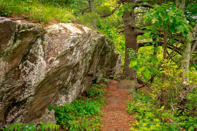"Greenstone Overlook Trail, Milepost 8.8" by P. Donald Serpas