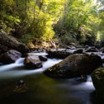 "Early Fall on the Pigeon River" by Matt Wallace
