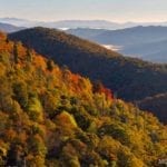 "Fall at East Fork Overlook, Milepost 418.3" by Mandy Quinzi