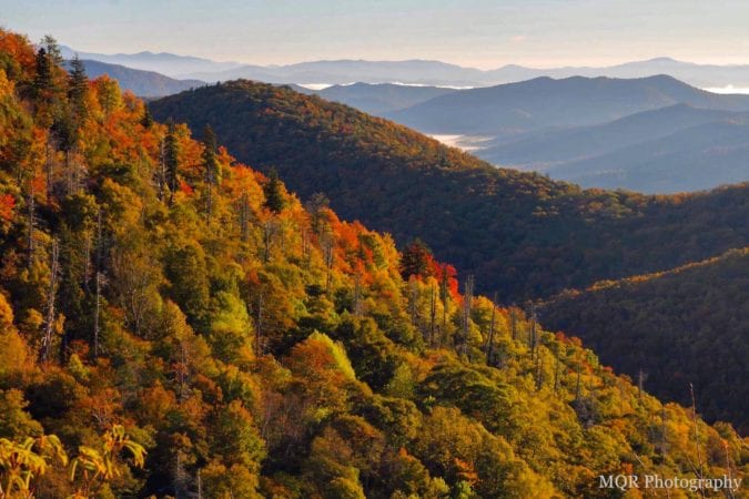 "Fall at East Fork Overlook, Milepost 418.3" by Mandy Quinzi