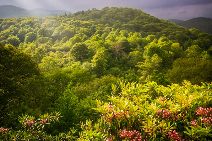 "Long-range View from Milepost 419" by Dawnfire Photography