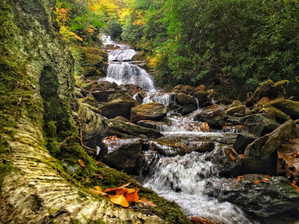 "Lower Sam Branch Falls, Milepost 423" by Todd Roy