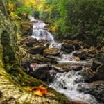 "Lower Sam Branch Falls, Milepost 423" by Todd Roy