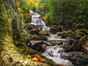 "Lower Sam Branch Falls, Milepost 423" by Todd Roy