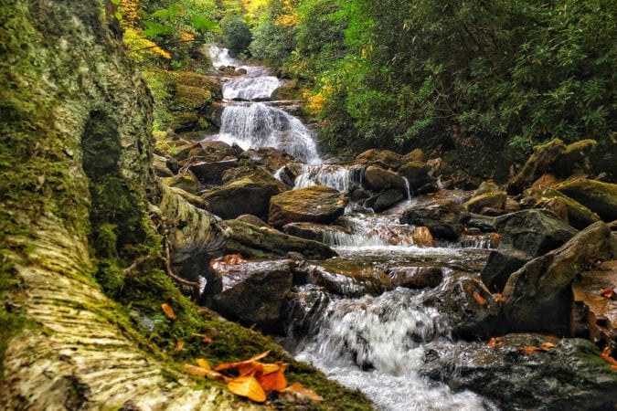 "Lower Sam Branch Falls, Milepost 423" by Todd Roy