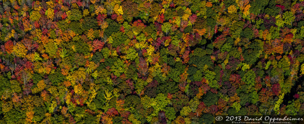 "Fall Color near Burnett Reservoir, South of the Parkway" by David Oppenheimer