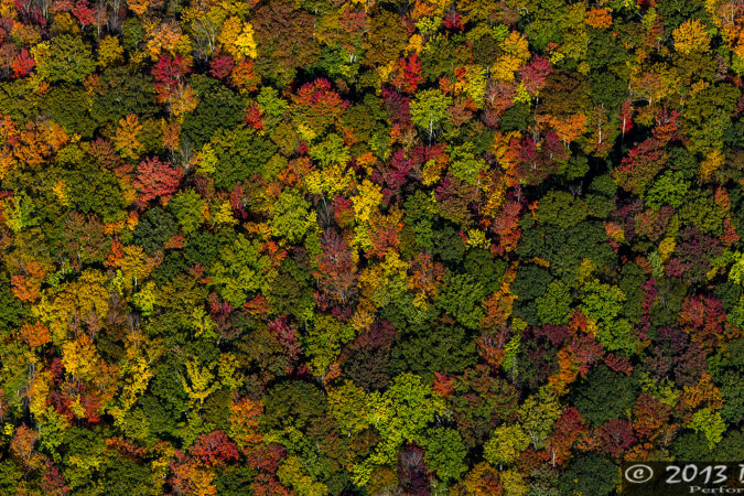 "Fall Color near Burnett Reservoir, South of the Parkway" by David Oppenheimer