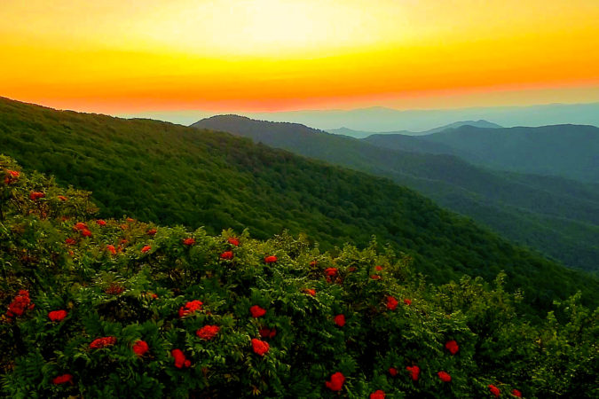 "Long-range View at Craggy Gardens, Milepost 364.6" by Gina Knox