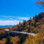 "Sunny Autumn Colors at the Linn Cove Viaduct, Milepost 304.4" by Brandi Clark