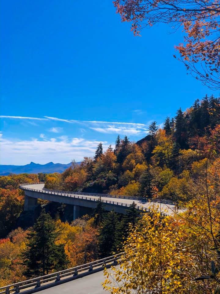 "Sunny Autumn Colors at the Linn Cove Viaduct, Milepost 304.4" by Brandi Clark