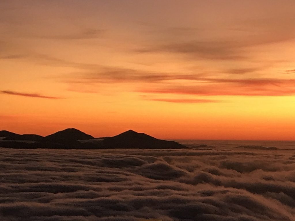 "Flight by Sharp Top at Peaks of Otter, Milepost 86" by Tim Repass