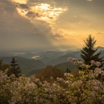 "Long-range and Wildflowers on the Parkway Near Asheville" by Sandra Pevahouse