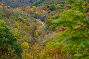 "Second Falls at Graveyard Fields, Milepost 418.8" by MQR Photography