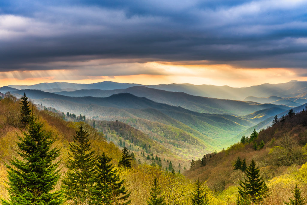 "Spring at Oconaluftee Overlook, Milepost 462.9" by Rhonda Kingen Photography
