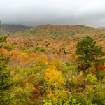 "Fall Color at Graveyard Fields, Milepost 418.8" by Justin Askew Photography