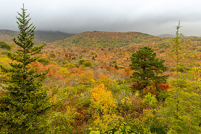 "Fall Color at Graveyard Fields, Milepost 418.8" by Justin Askew Photography