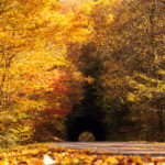 "Tunnel at Little Switzerland, Milepost 331" by Ric Willkinson at TRICSAW Photography