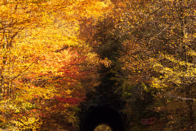 "Tunnel at Little Switzerland, Milepost 331" by Ric Willkinson at TRICSAW Photography