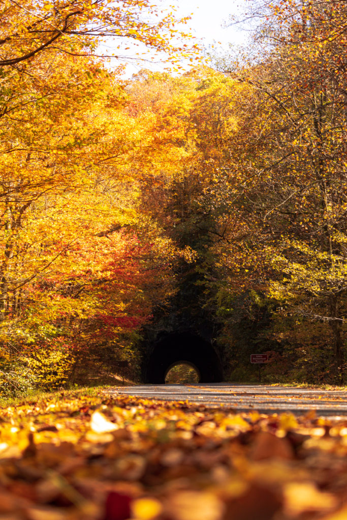 "Tunnel at Little Switzerland, Milepost 331" by Ric Willkinson at TRICSAW Photography