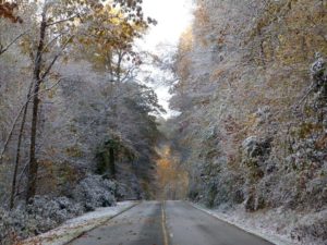 "Fall Snow at Bamboo Gap, Milepost 285" by Sarah Vell Photography