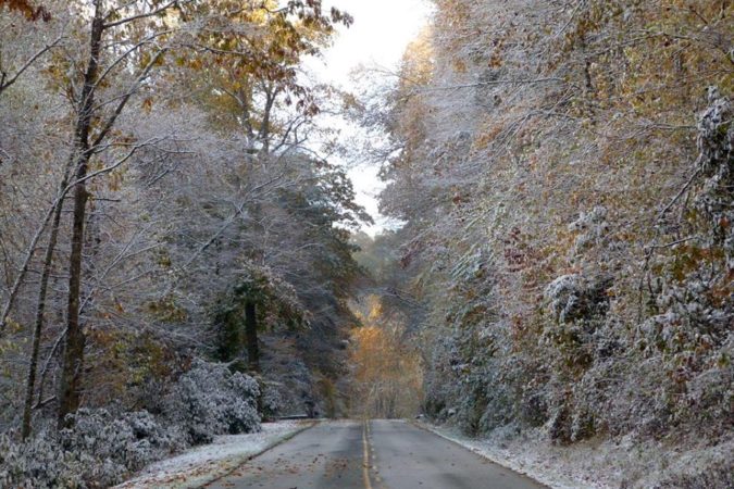 "Fall Snow at Bamboo Gap, Milepost 285" by Sarah Vell Photography